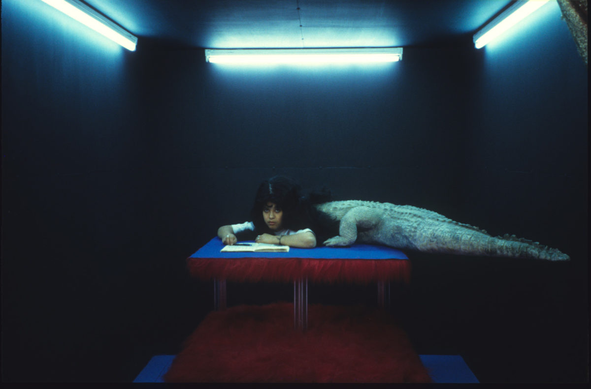 © Dolorès Marat / courtesy Galerie Françoise Besson