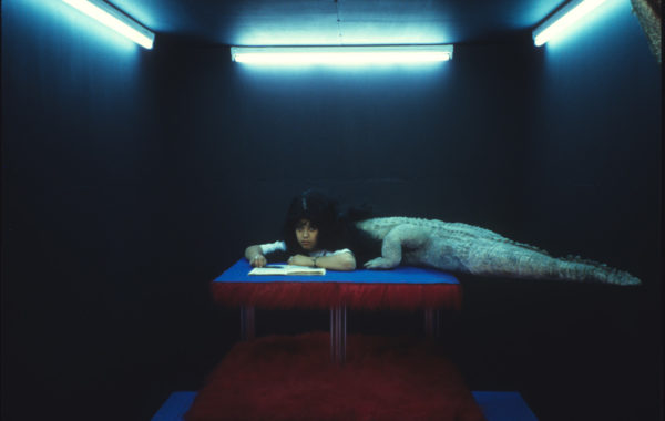 © Dolorès Marat / courtesy Galerie Françoise Besson