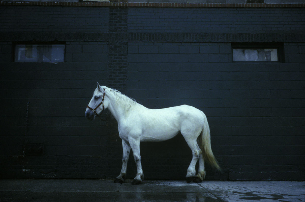 © Dolorès Marat / courtesy Galerie Françoise Besson