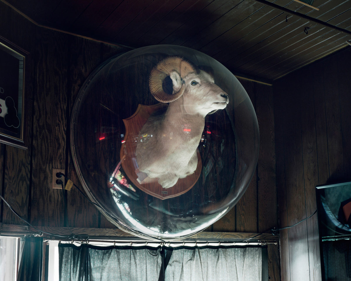 © Bryan Schutmaat