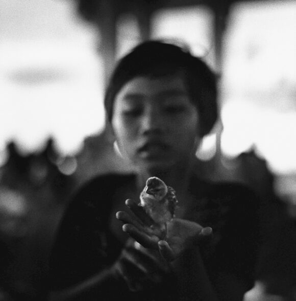© Laurence Leblanc
