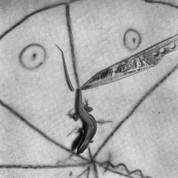 © Roger Ballen / Courtesy Galerie Karsten Greve