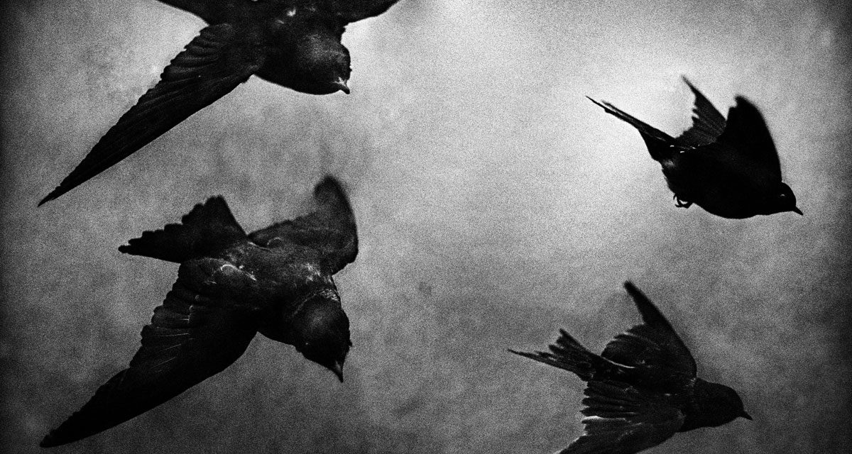 © Yusuf Sevinçli / Courtesy Galerie les Filles du Calvaire