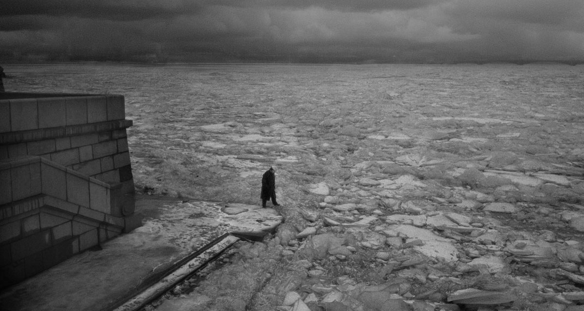 © Alain Willaume