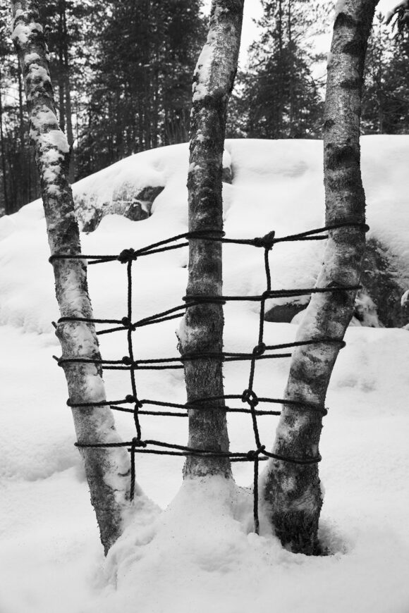 © Anna Reivilä