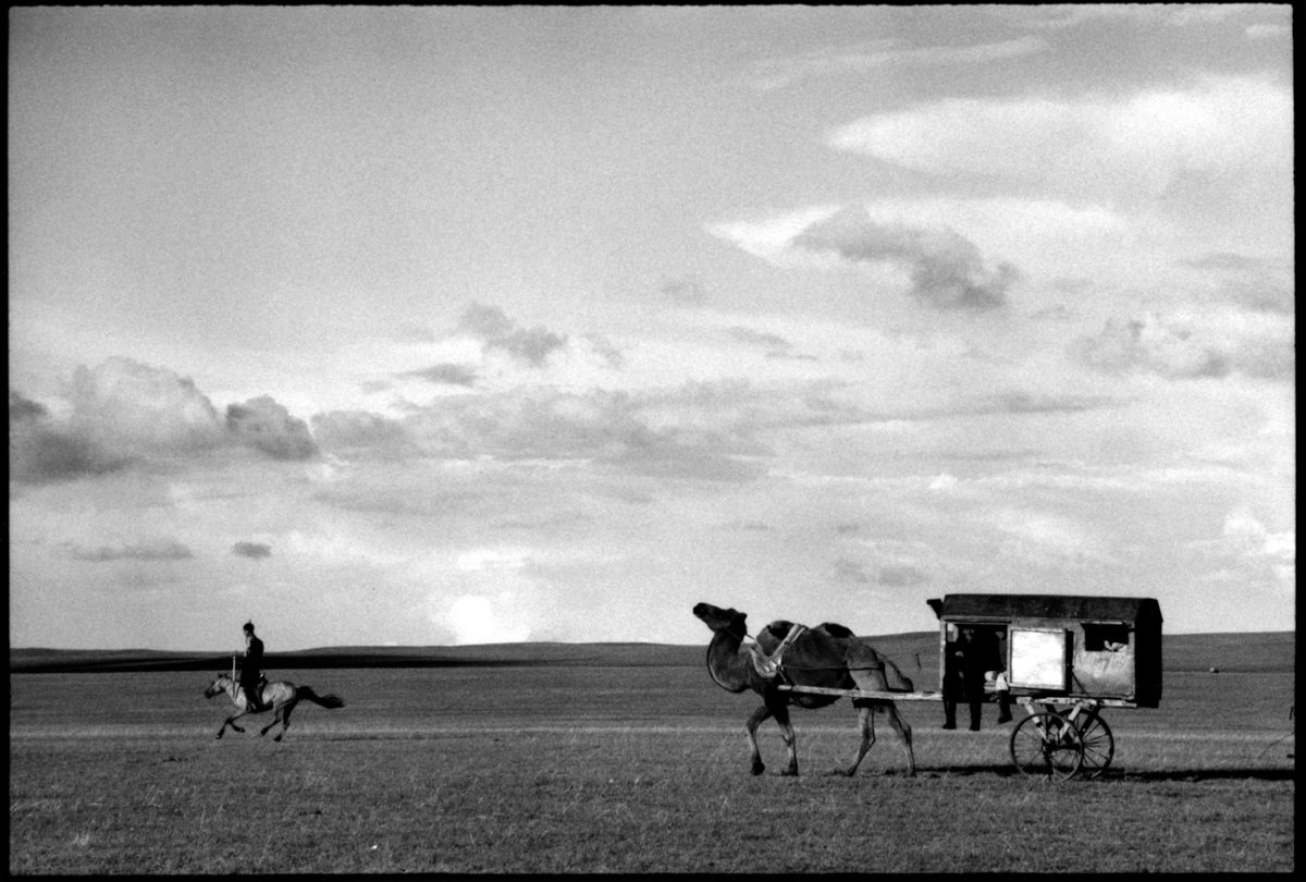 © Patrick Bard / signatures