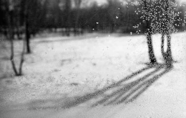 © Patrick Bard / signatures