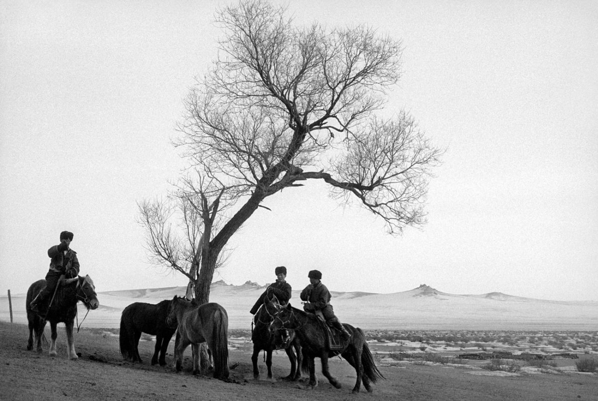 © Patrick Bard / signatures