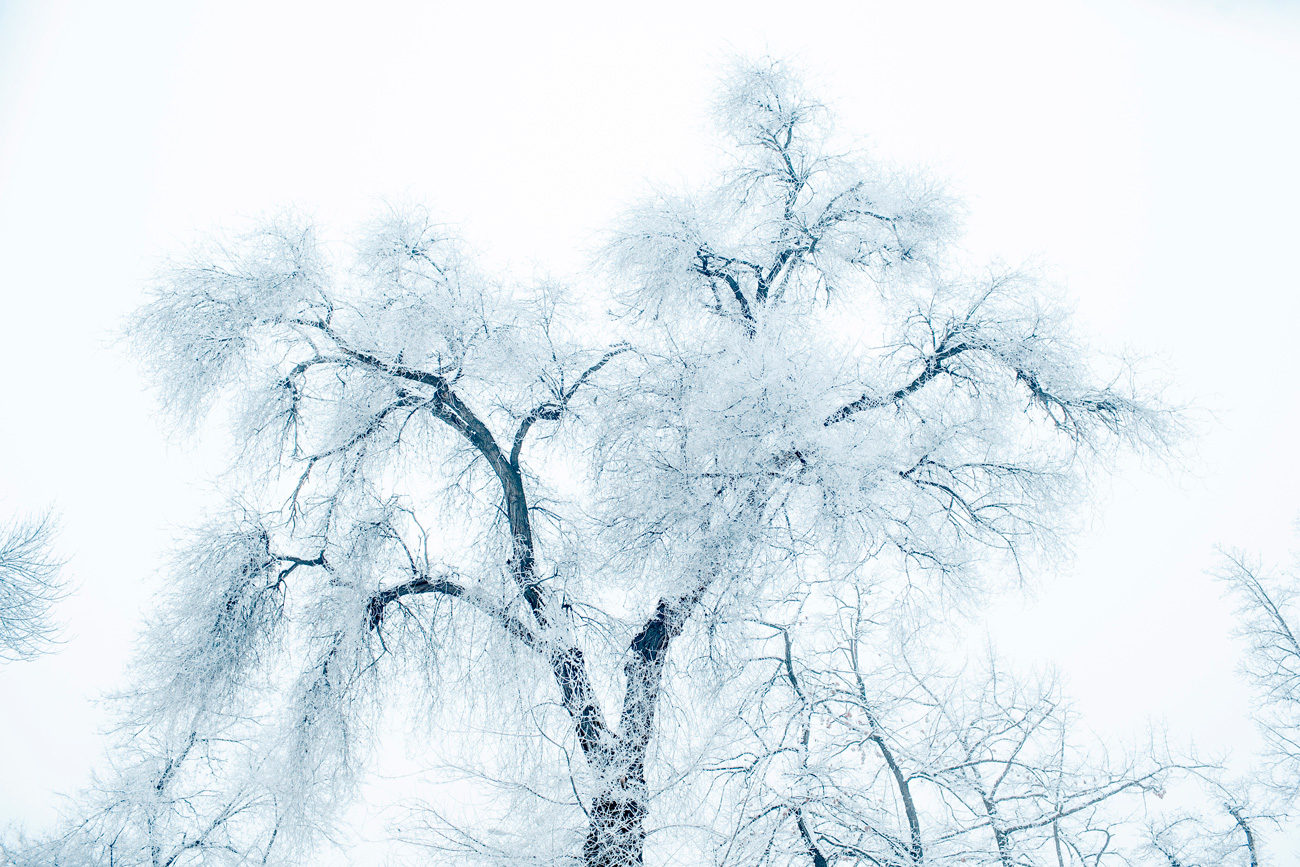 © William Daniels