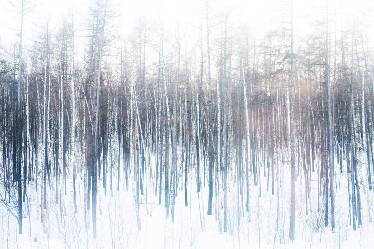 © William Daniels