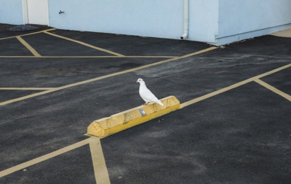 © Jamey Hoag
