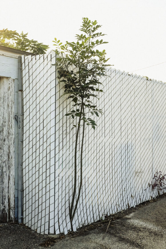 © Jamey Hoag