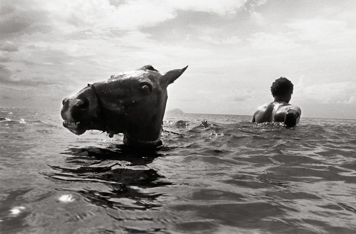 © Andy Summers
