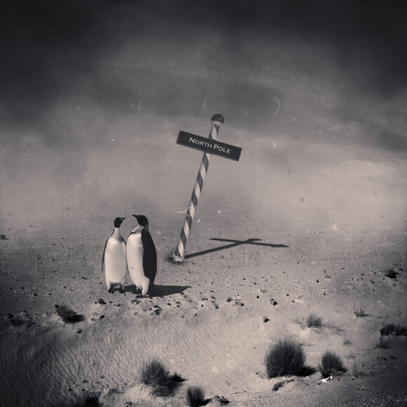 © Denis Olivier