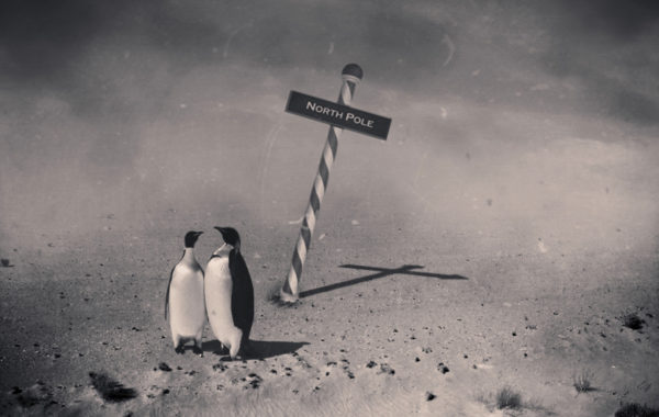 © Denis Olivier