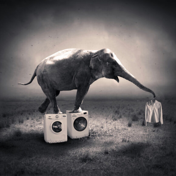 © Denis Olivier