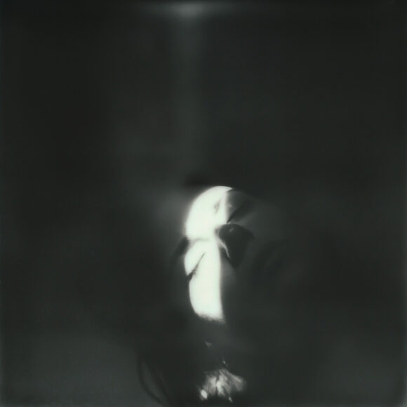 © Francesco Sambati