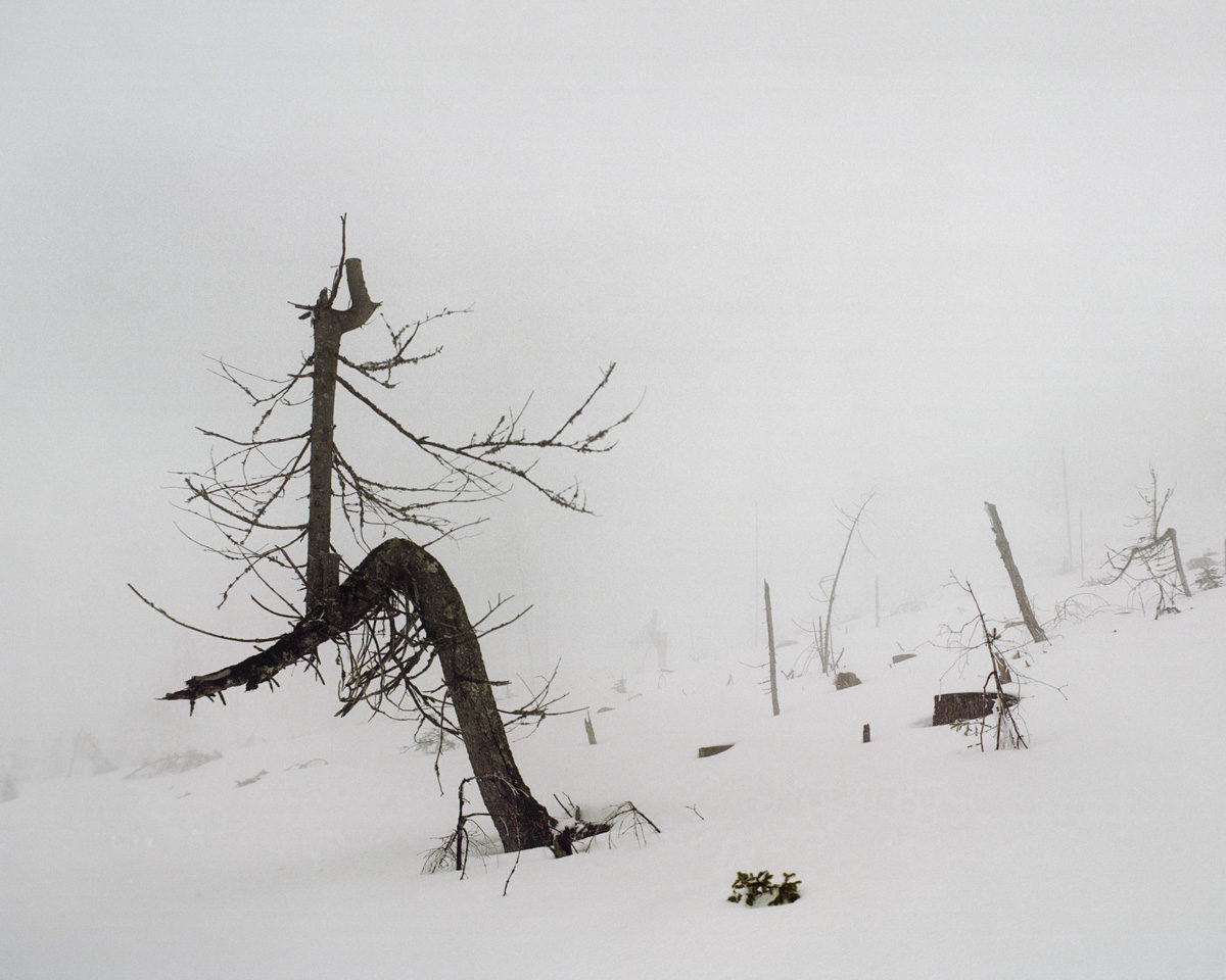 © Margot Wallard