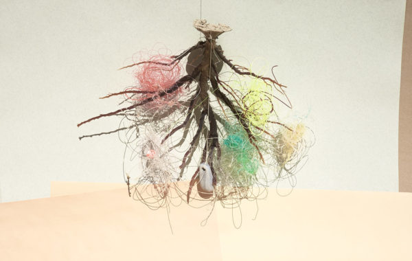 © Thirza Schaap