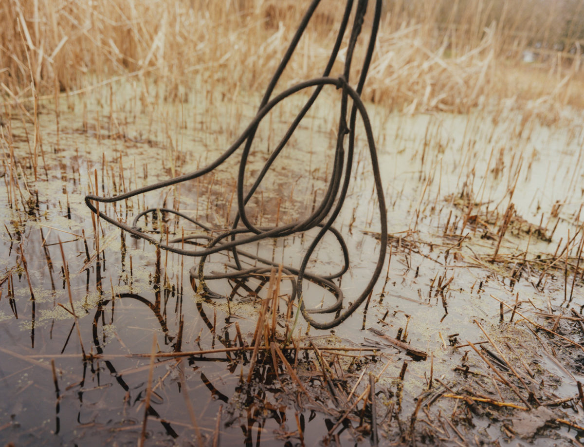 © Suzie Howell