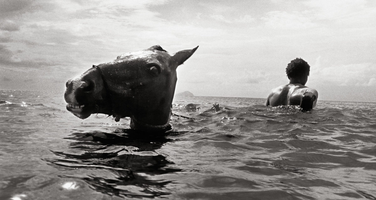 © Andy Summers