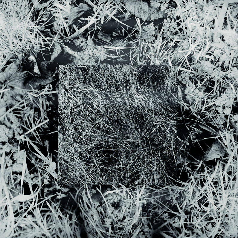 © Šarūnas Kvietkus
