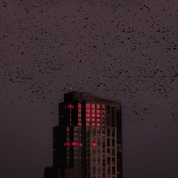 © Jack McGrath / Instagram 