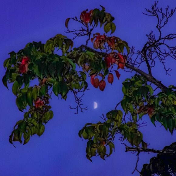 © Jack McGrath / Instagram 