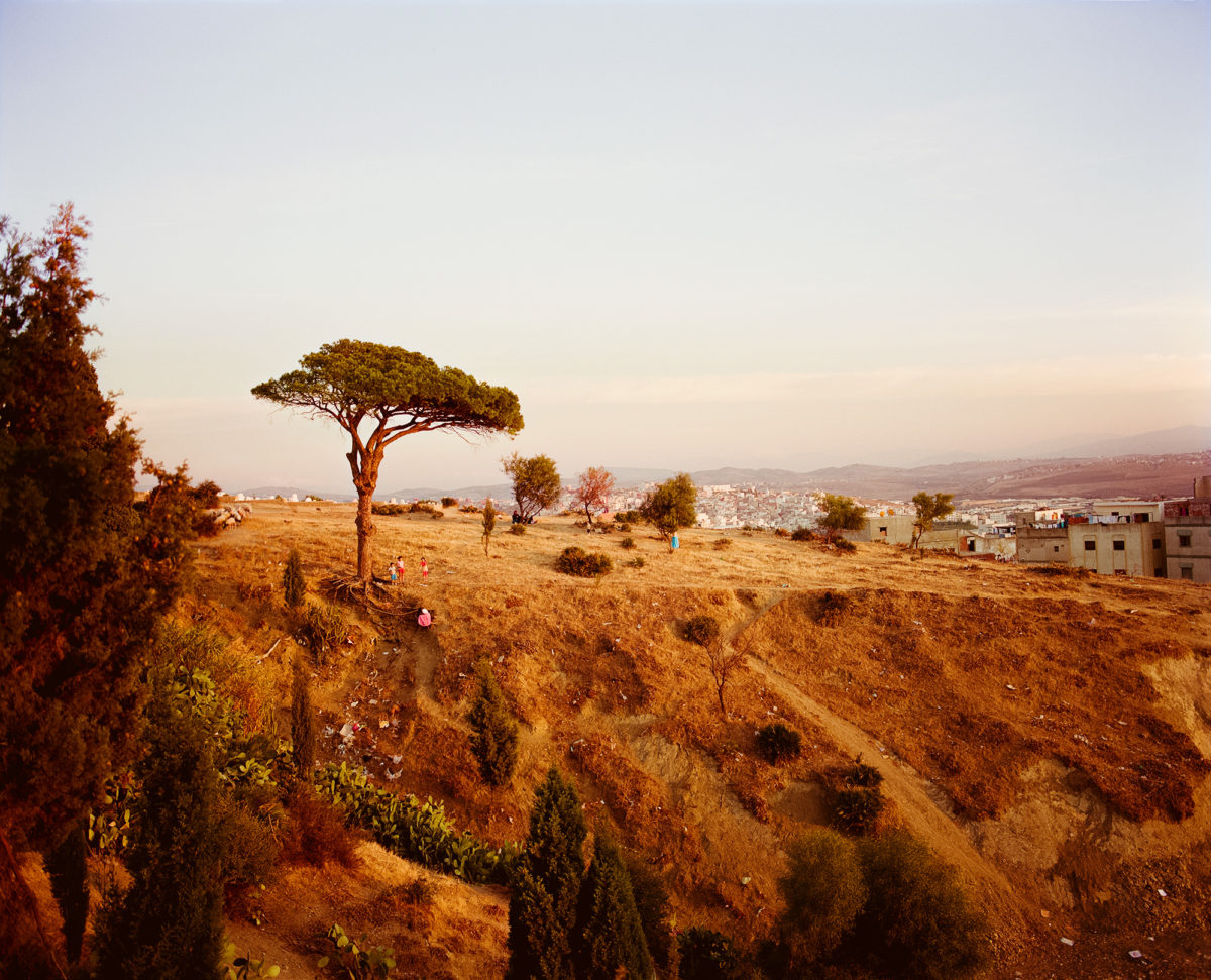 © Steph Wilson