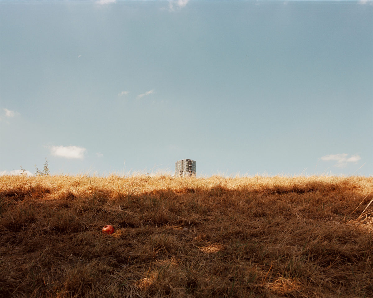 © Steph Wilson