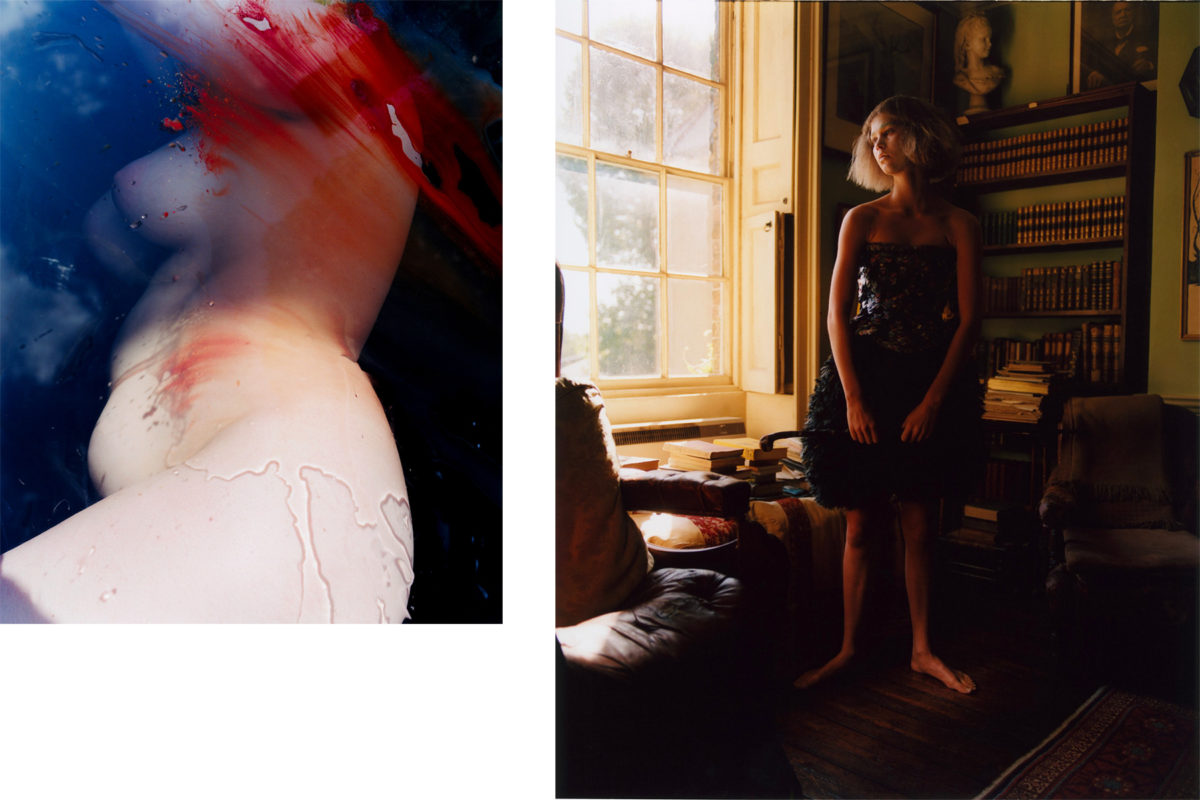 © Steph Wilson