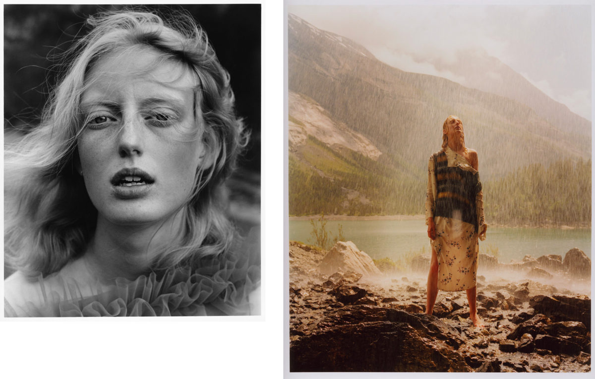 © Steph Wilson