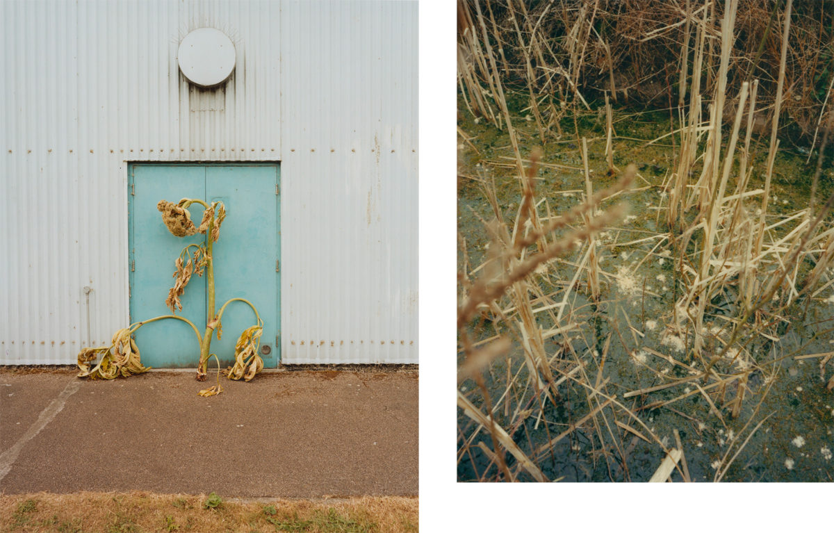© Suzie Howell
