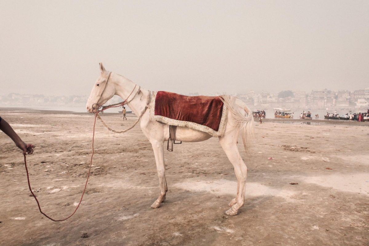 © Giulio Di Sturco