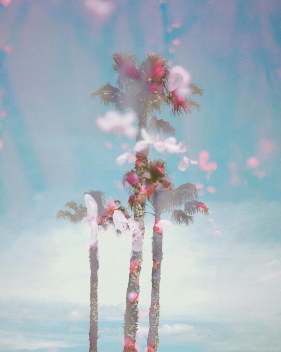 © Omar / Instagram