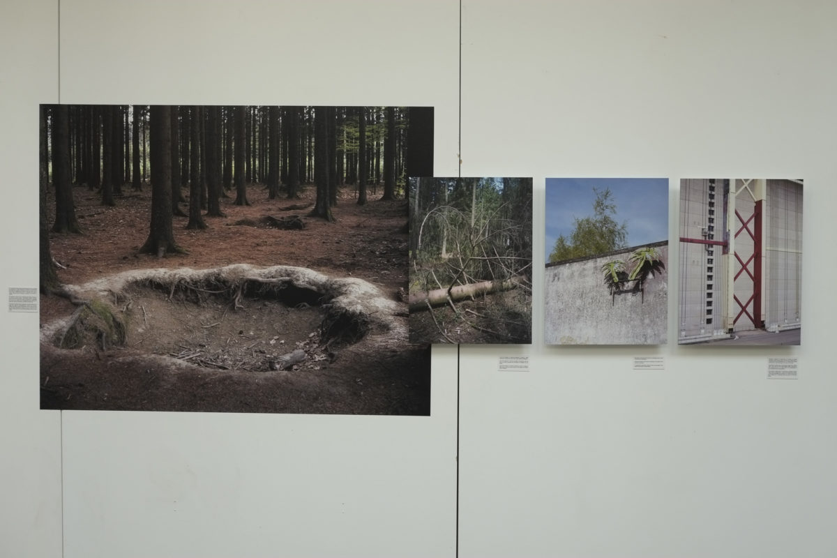 Vu d'installations - Teo Béche