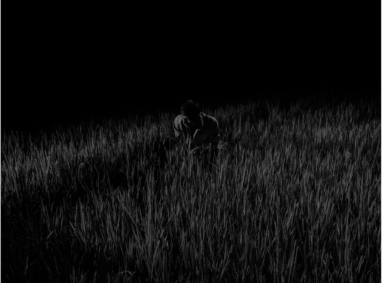 alex-majoli-image-douv