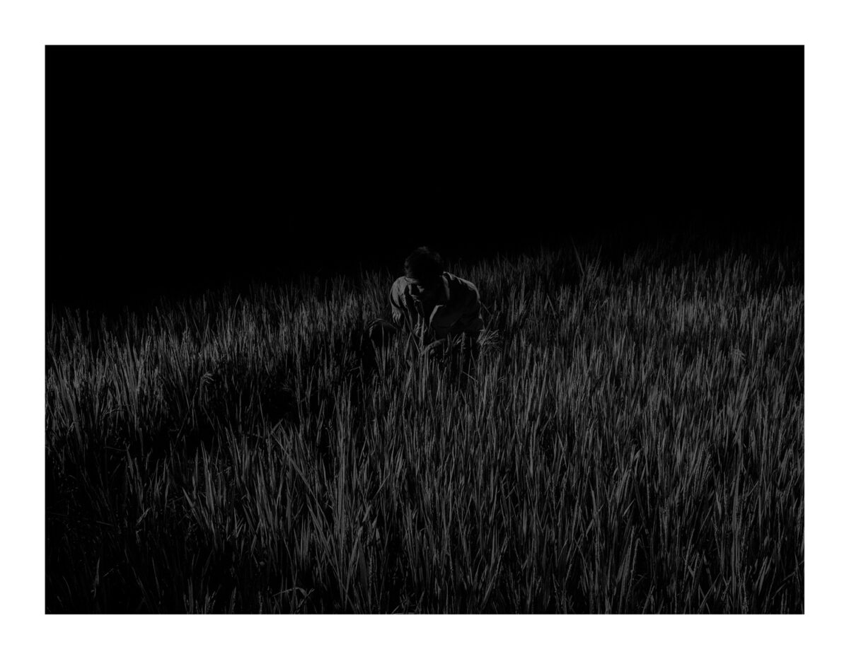 © Alex Majoli / Magnum Photos