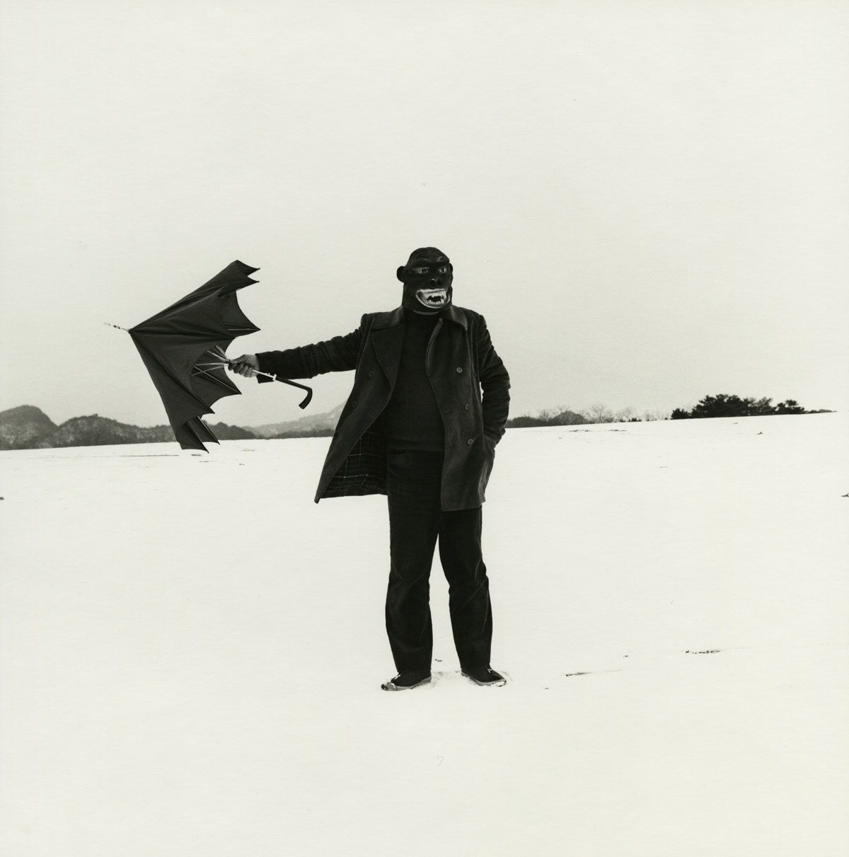 © Shoji UEDA Office