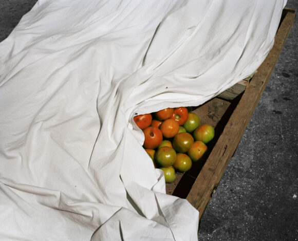 © Rose Marie Cromwell