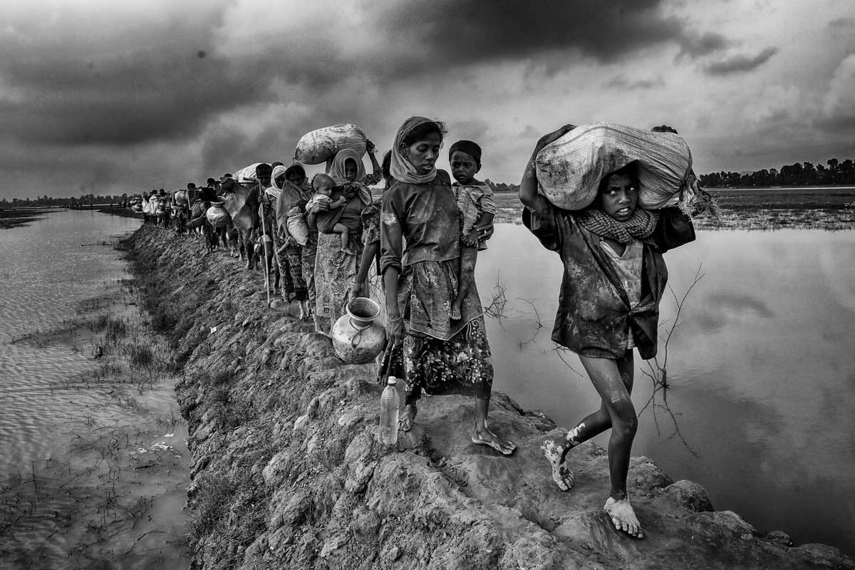 © Mushfiqui Alam