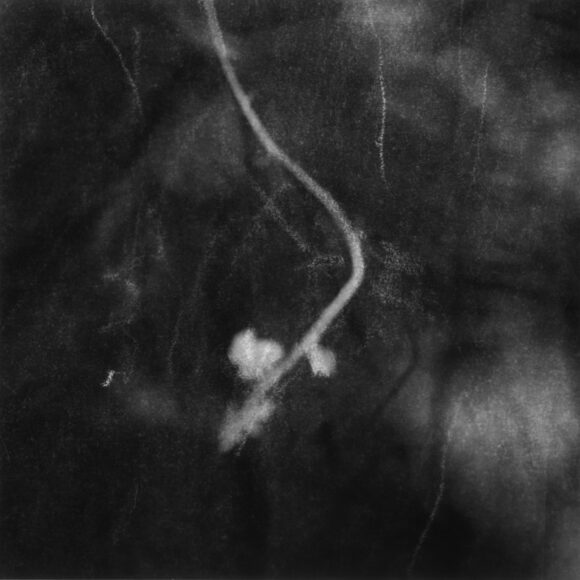 © Anaïs Boudot