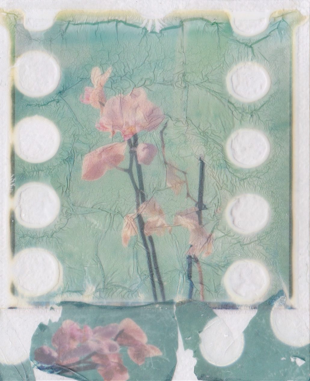 © Caroline Allais