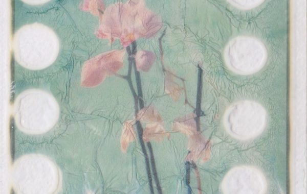 © Caroline Allais