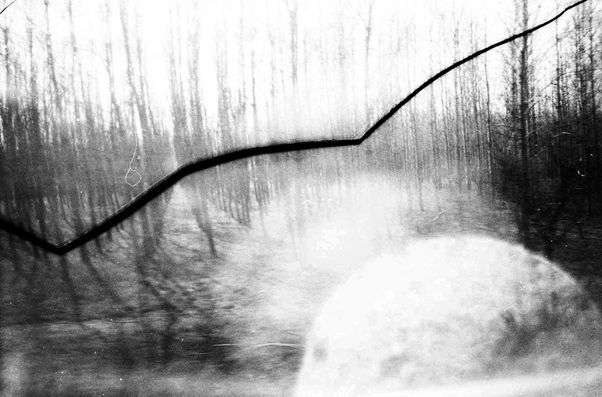 © Dina Oganova