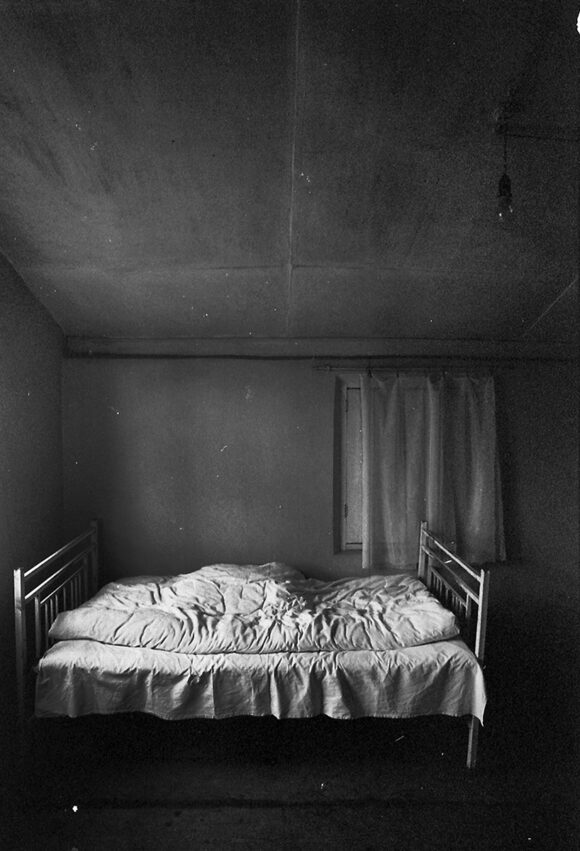 © Dina Oganova