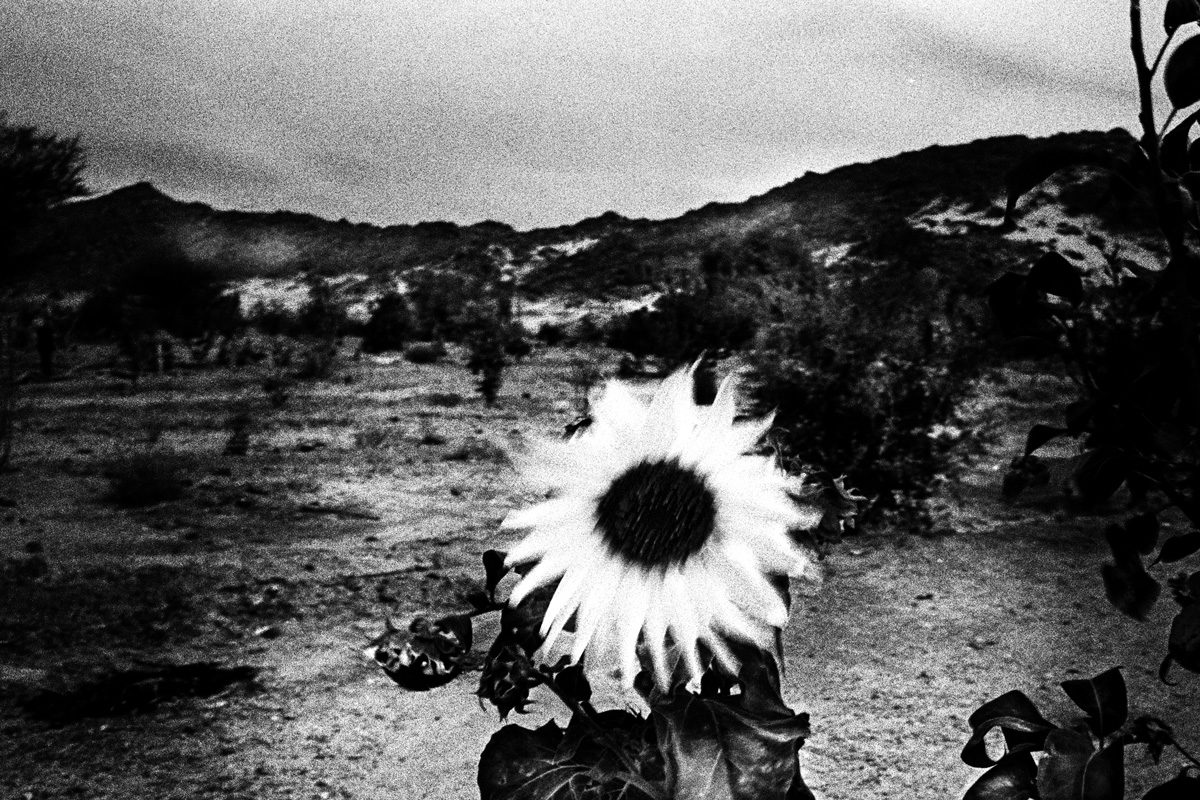 © Gregory Dargent