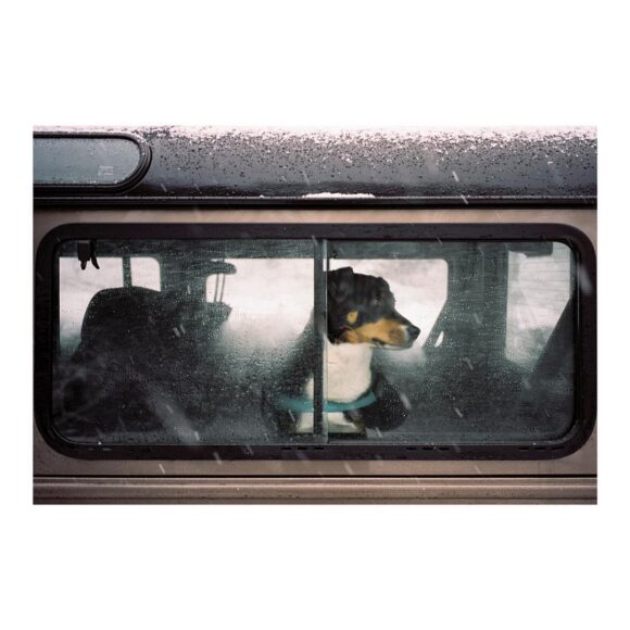 © Stefan / Instagram