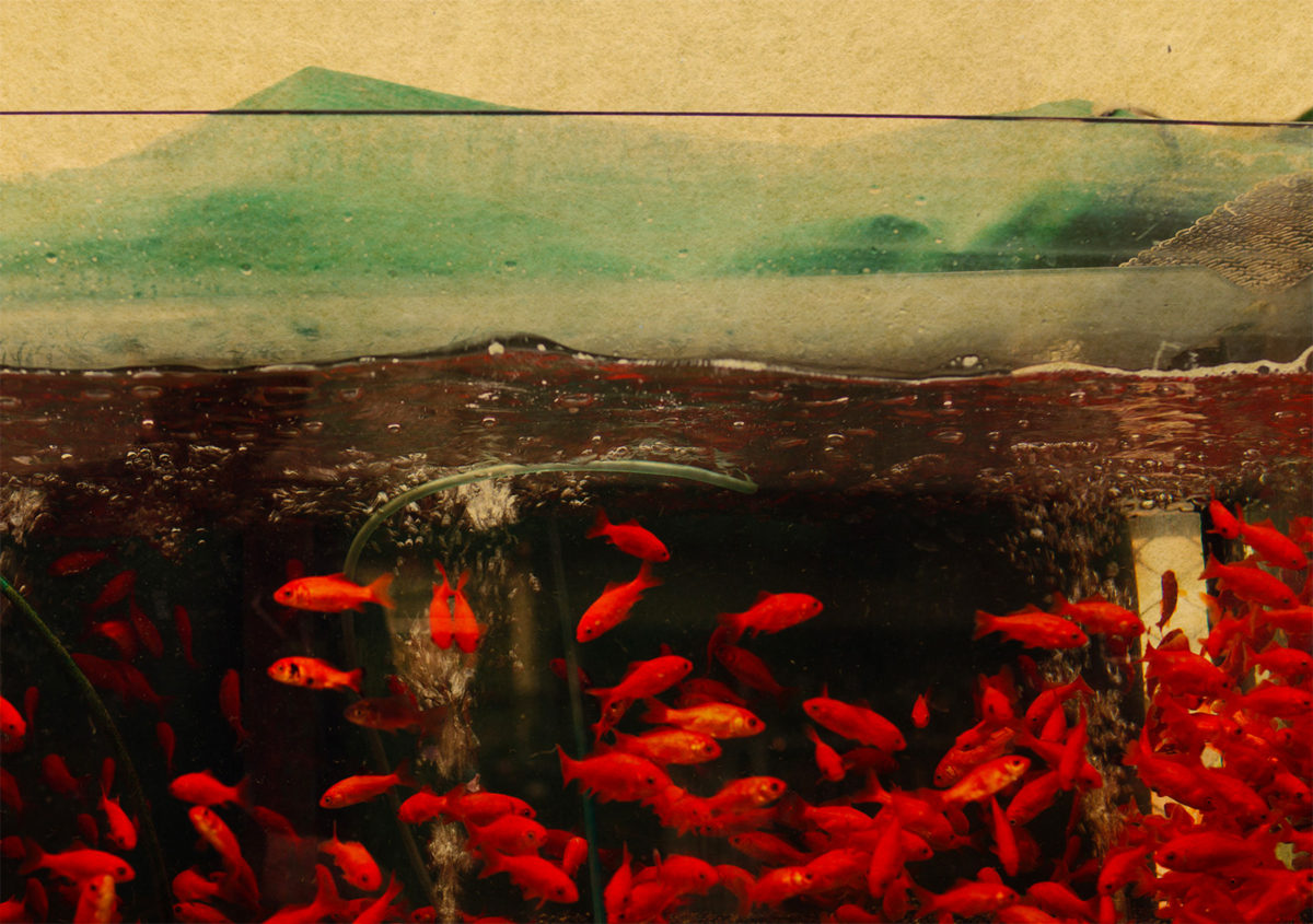 © Albarrán Cabrera / Galerie Esther Woerdehoff