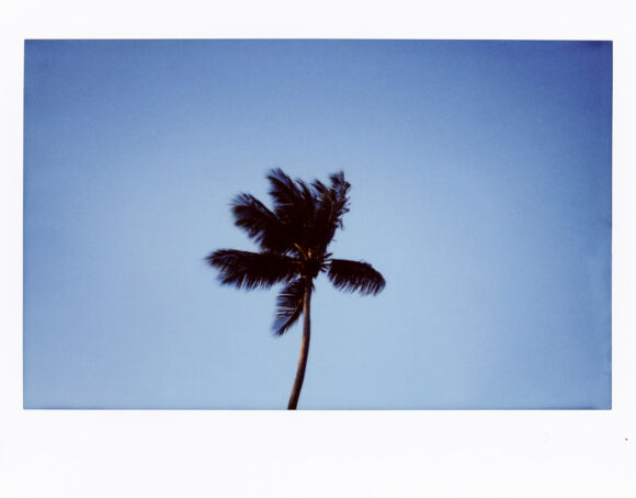 © Charlotte Zobel